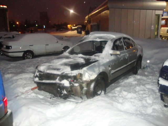 Антон Петров | Москва