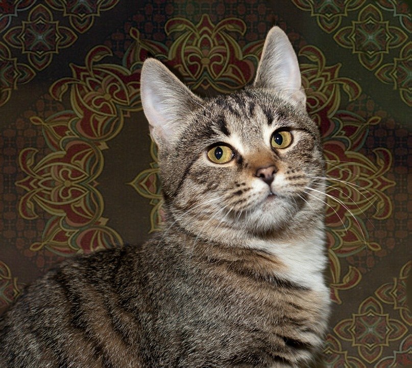 Maria Voroncova | Москва