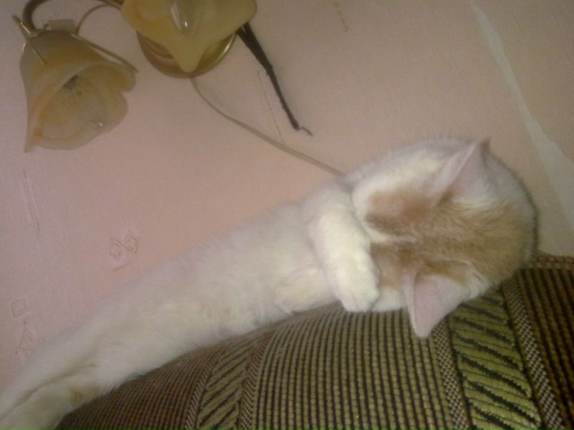 Денис Решатов | Ярославль