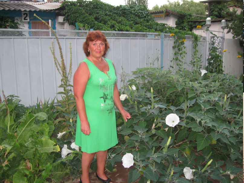 Галина Шуренкова | Апатиты