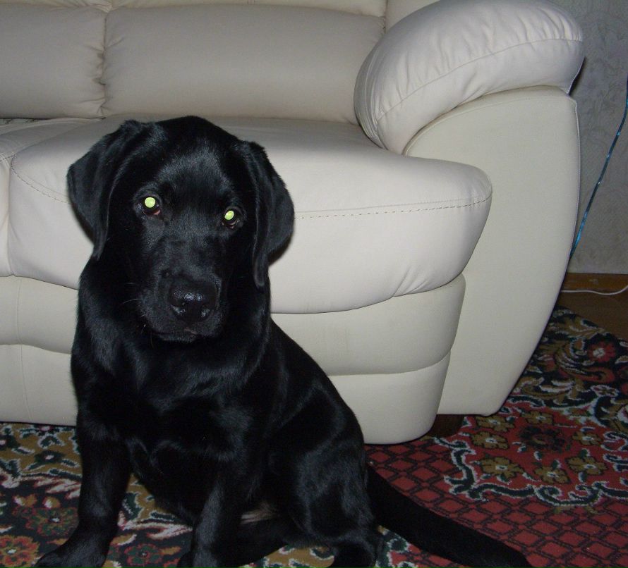 Светлана Кураева | Рыбинск