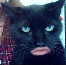 №110, Віталій Іванюк, 37 лет, Киев №110, Віталій Іванюк, 37 лет, Киев