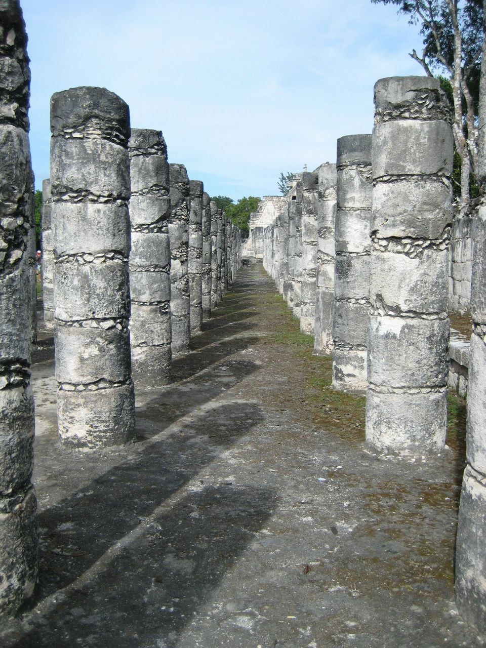 Петр Соловьев | Санкт-Петербург