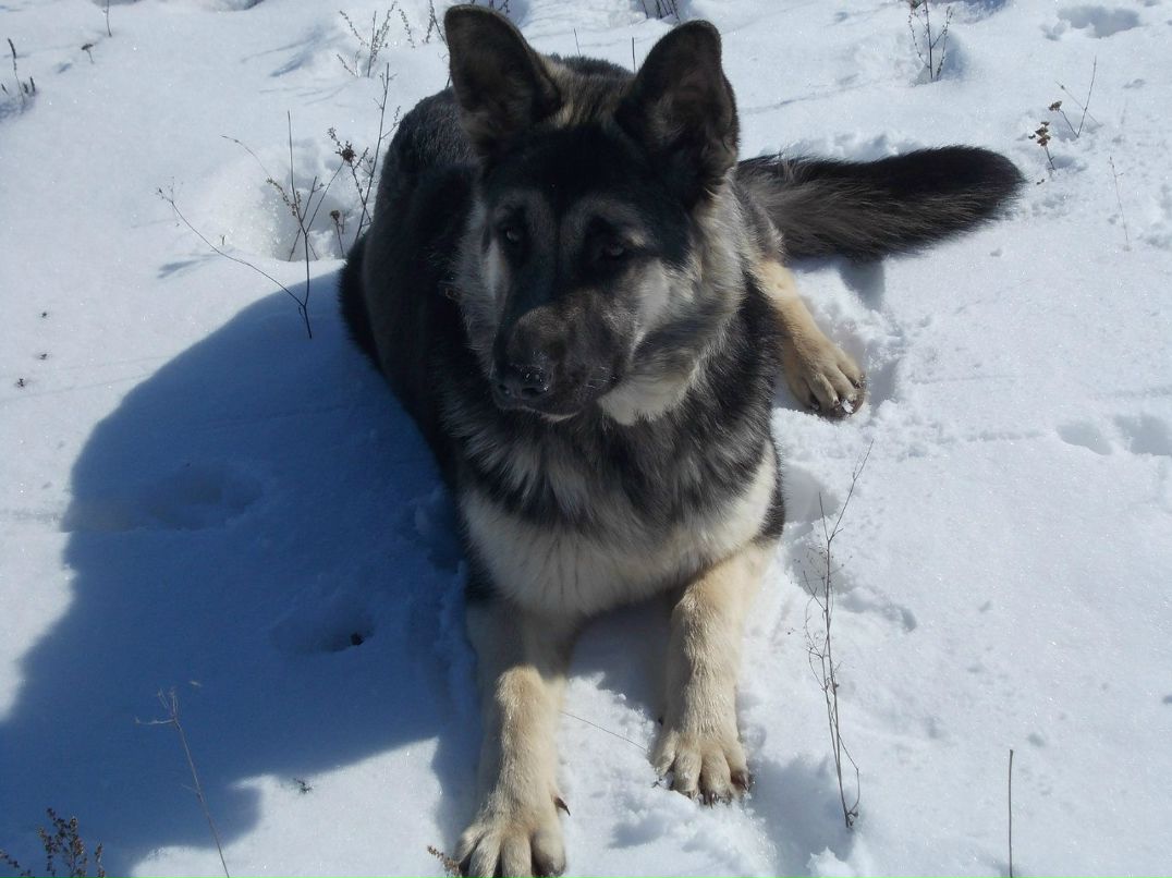 Ангелина Маркелова •¸•▪♥ ЛюБлЮ и ЛюБиМа♥▪•¸• | Боровичи