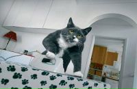 Фотография Натали Мельничук
