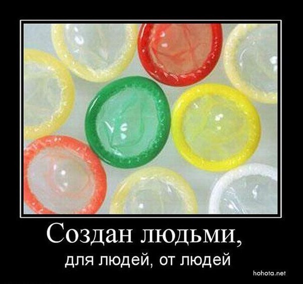 Алексей Алексеев | Одинцово