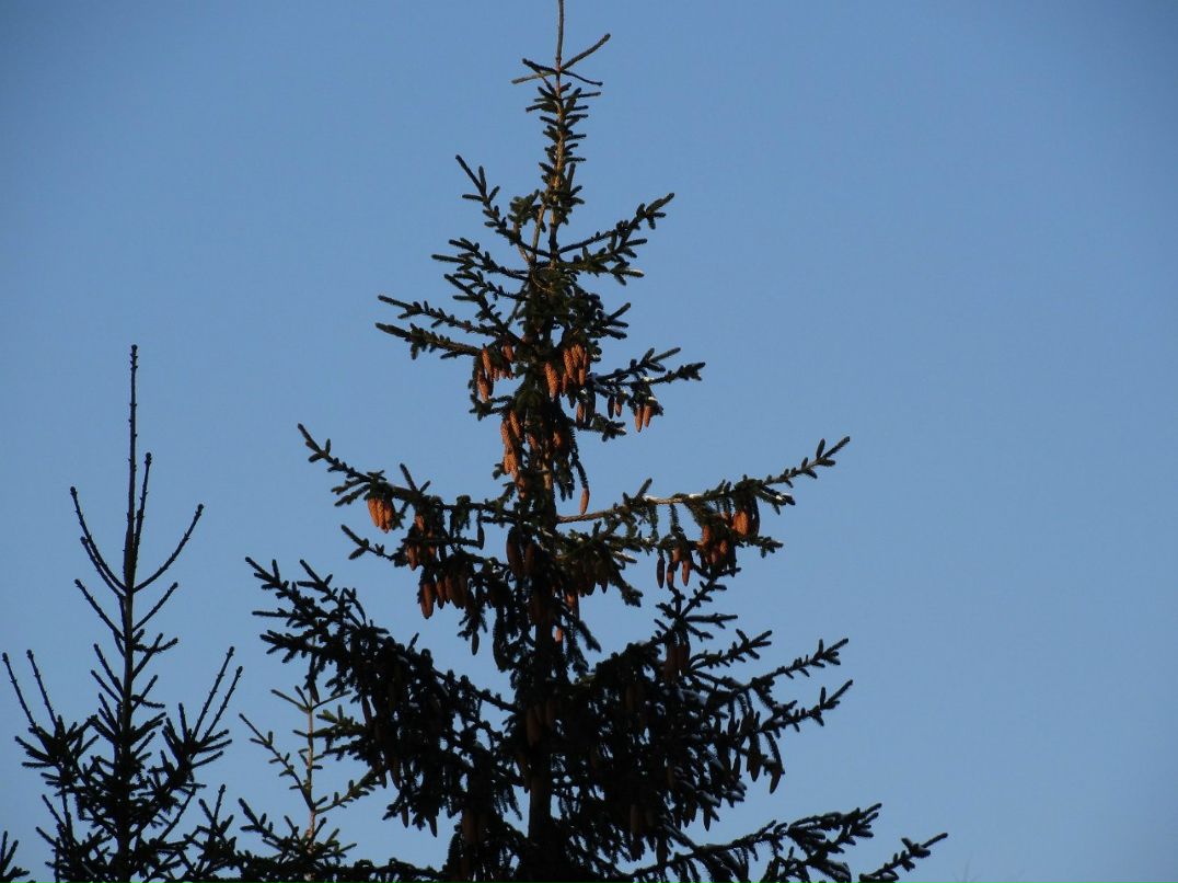 Александр Матюшев | Калининград