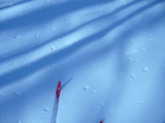 Андрей Панков | Саратов