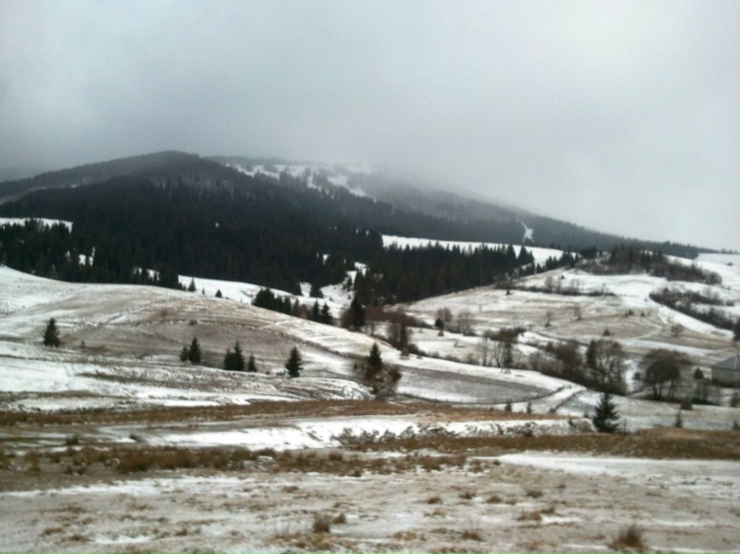 Андрей Евтеев | Донецк