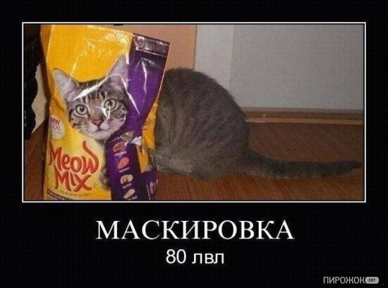 №71, Оля Чалая, Днепр (Днепропетровск) №71, Оля Чалая, Днепр (Днепропетровск)