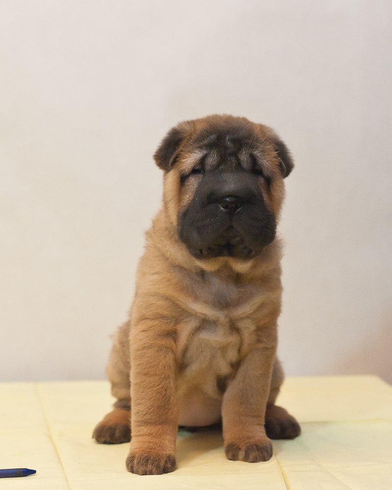 Светлана Царёва | Казань