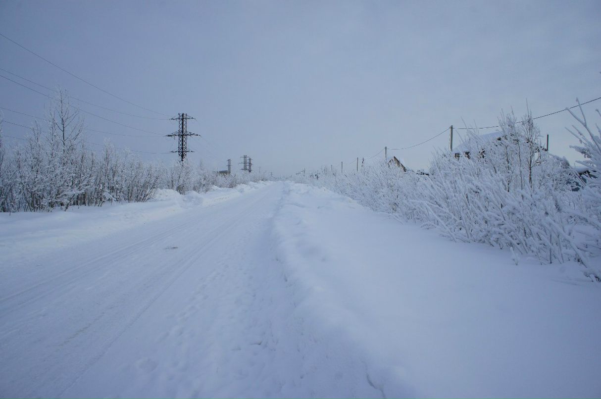Радик Рафиков | Сургут