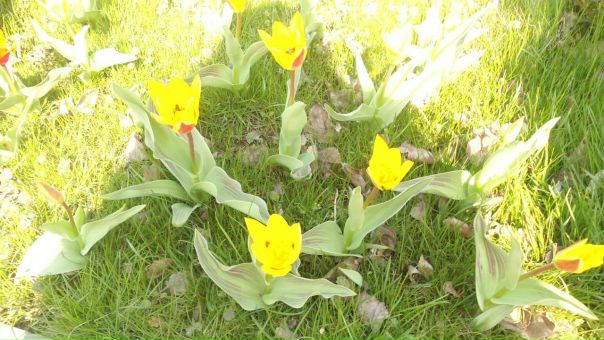 №98, Оля Сташкевич, 33 года, Тополи №98, Оля Сташкевич, 33 года, Тополи