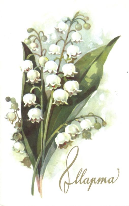 Герман Макушин | Саранск