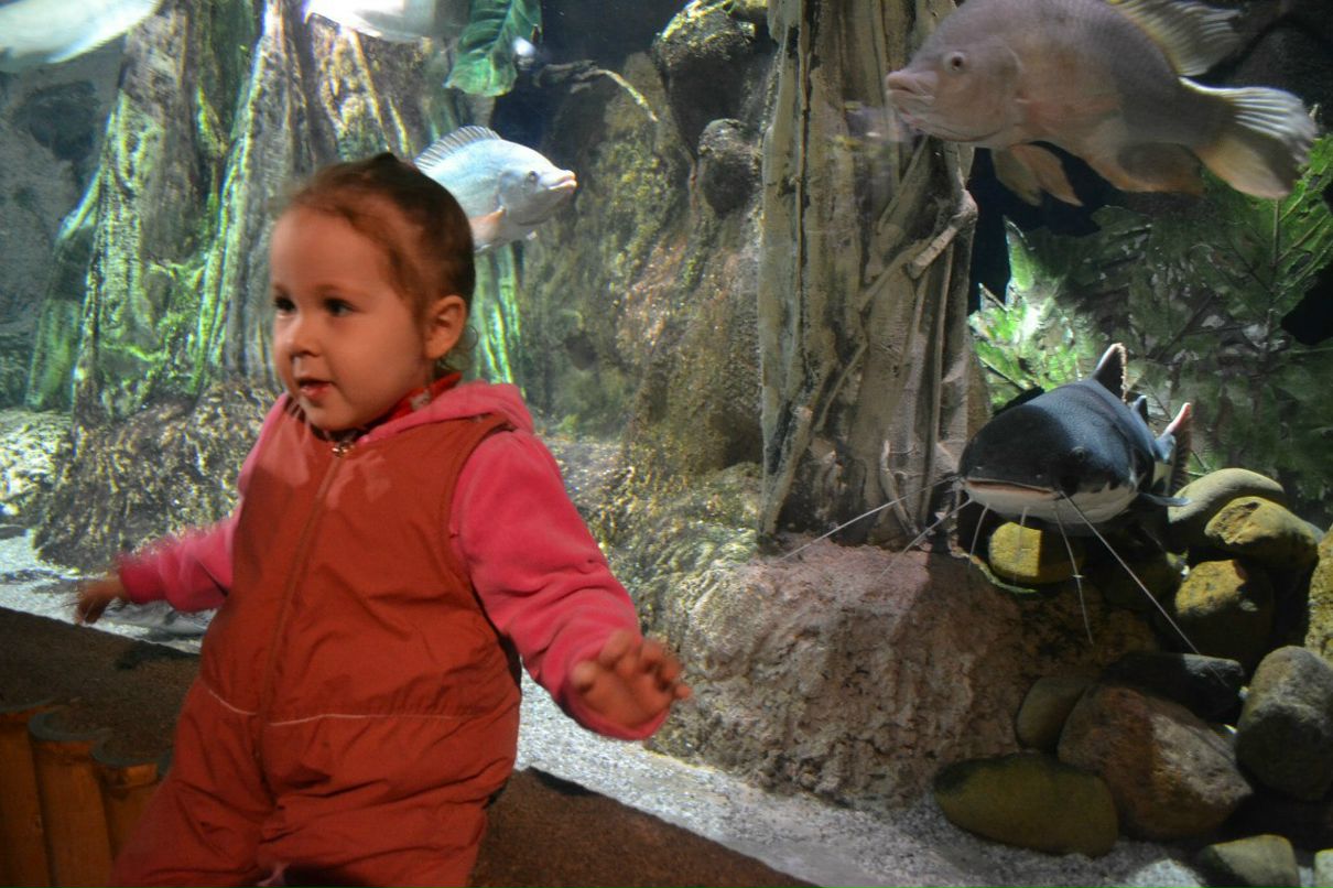 Елена Борыгина | Псков