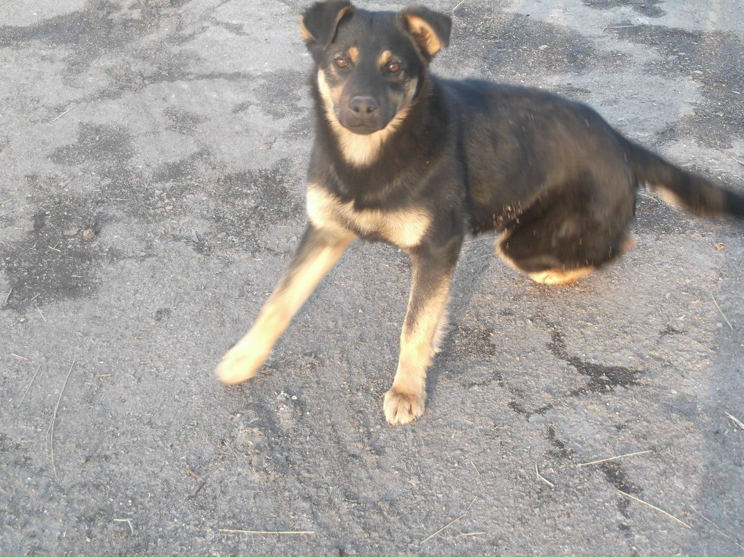 Валерій Ясиновий | Малая Антоновка