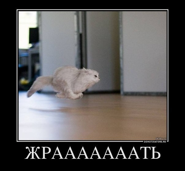 Сергей Хошобин | Волгоград