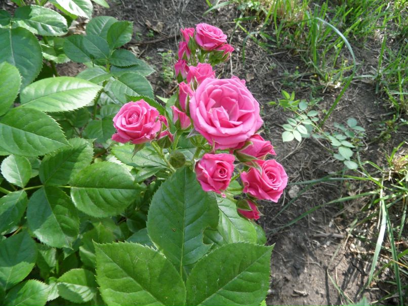 Ирина Данилова | Чебоксары