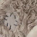 №49, Анжела Жужа, Евпатория №49, Анжела Жужа, Евпатория