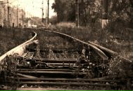 Фотография Николай Стародубцев