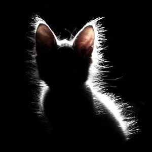 Женя Тускаева | Düsseldorf