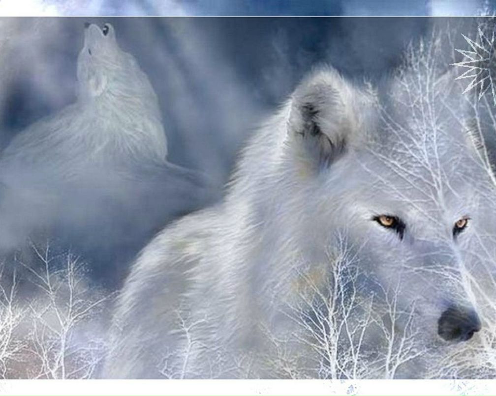 Алеся Михайлова LuLu | Уфа