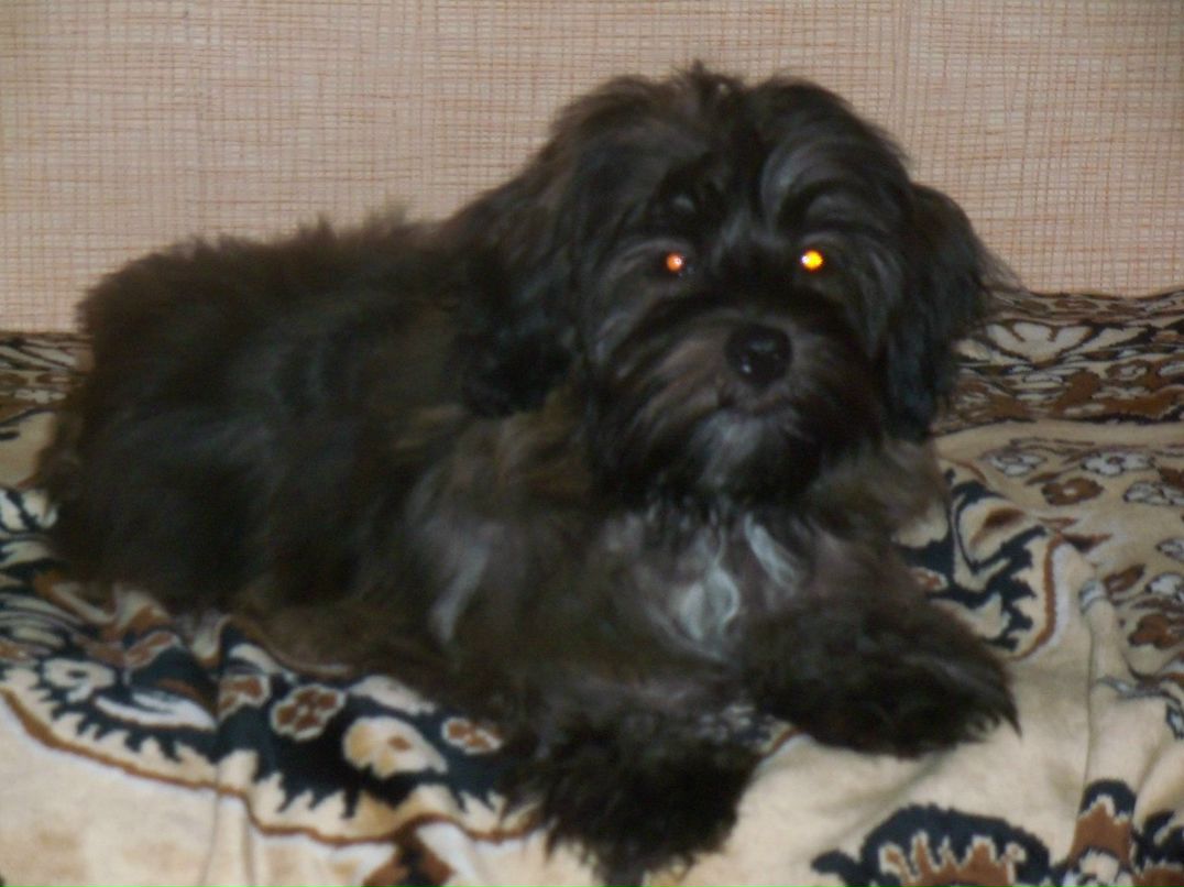 Оксана Ровенко | Бор