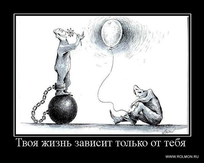 №113, Ярослав Грибіник, Киев №113, Ярослав Грибіник, Киев