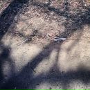 №41 Руслан Бадертдинов 07.05: профиль, фото, статус - ВКонтакте №41 Руслан Бадертдинов 07.05: профиль, фото, статус - ВКонтакте