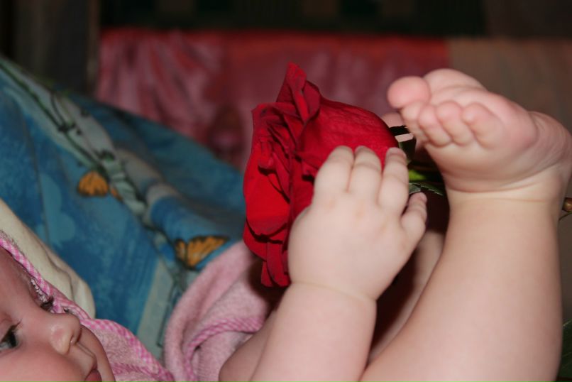 Светлана Омельченко | Кривой Рог