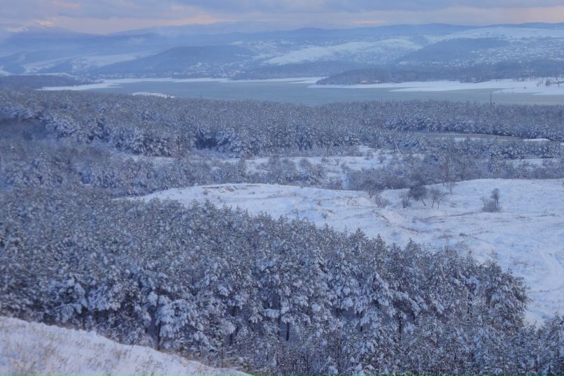 Ольга Домонтович | Симферополь