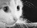 Диана Котова | Славгород