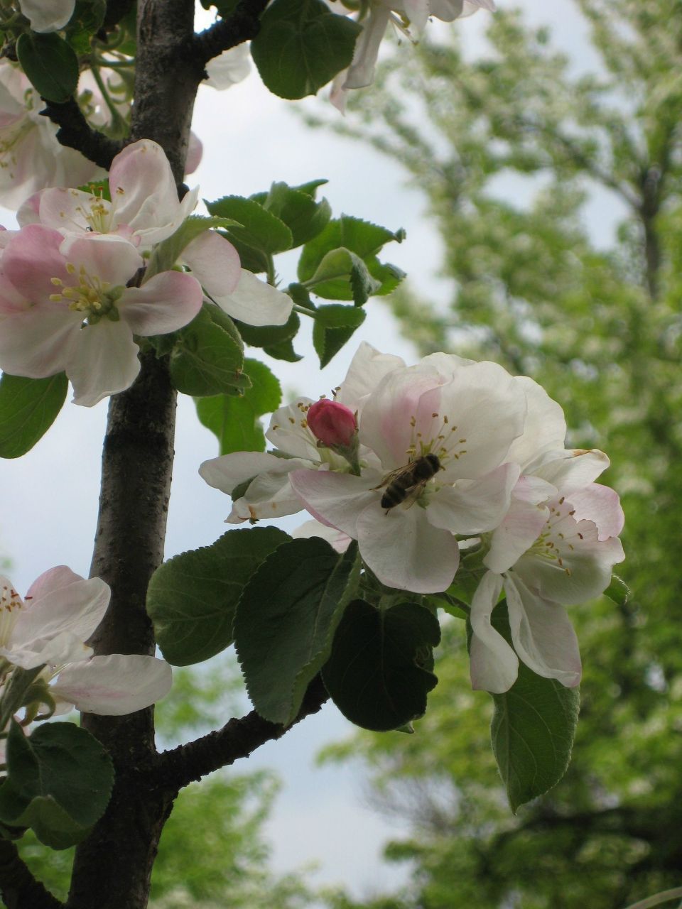 Виталия Ильичёва | Донецк