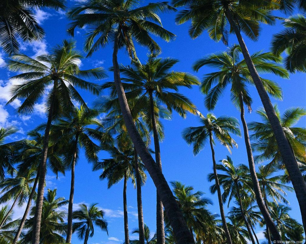 Владимир Рудинский | Николаев