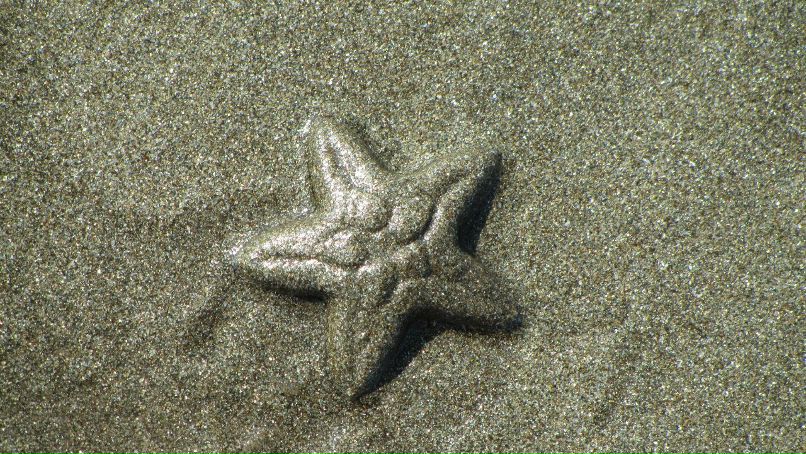 Екатерина Бричкина | Москва