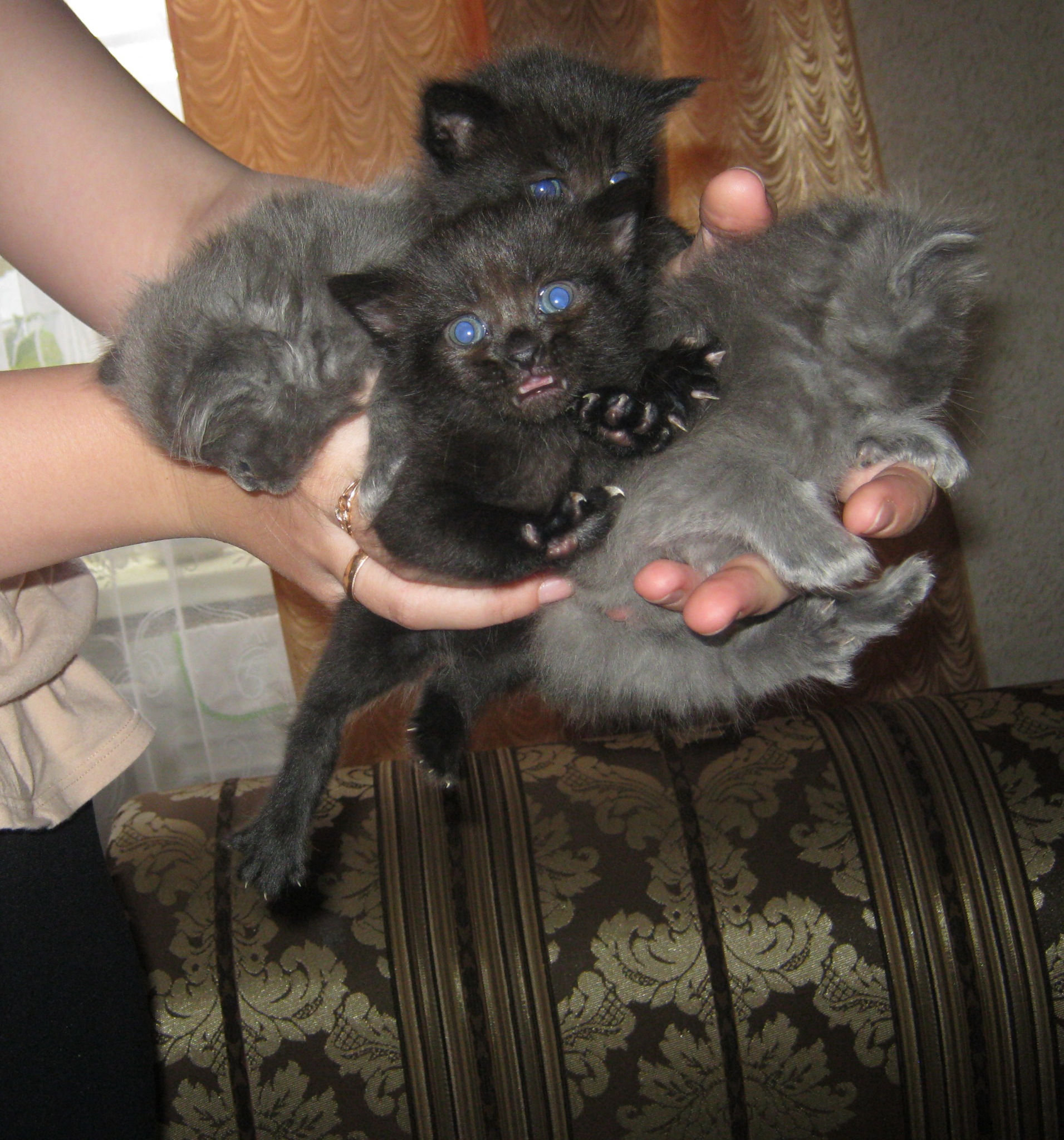 Фото профиля