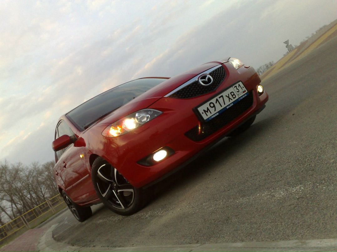 Олег Денишенко | Белгород