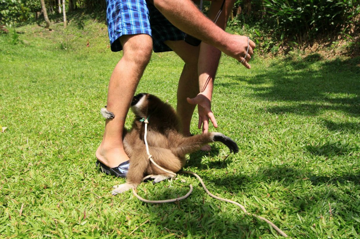 Александр Ковалёв | Paris