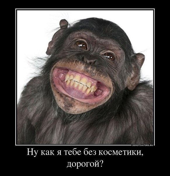 Ира Скотникова | Ухта