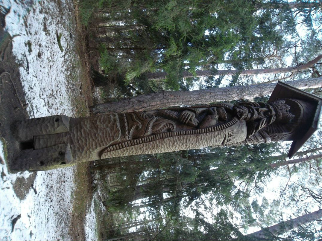 Константин Пигарёв | Санкт-Петербург