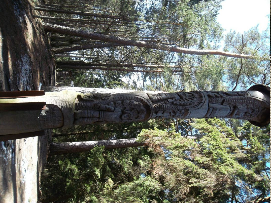 Константин Пигарёв | Санкт-Петербург