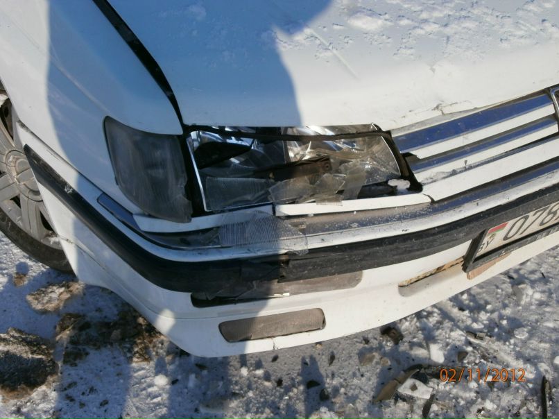 Евгений Мялик | Стайки