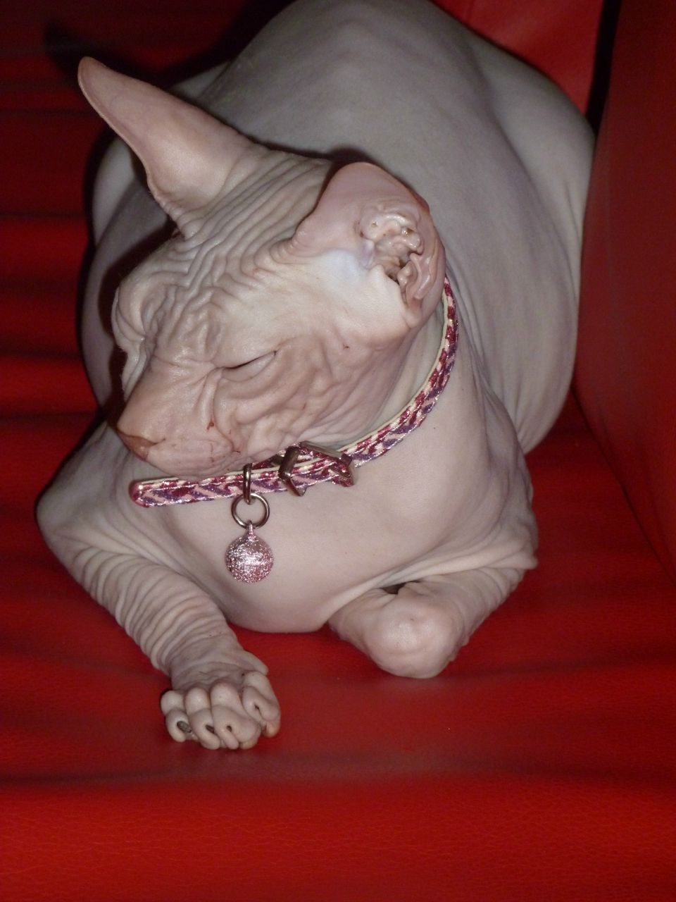 Виктория Юсипова | Ногинск