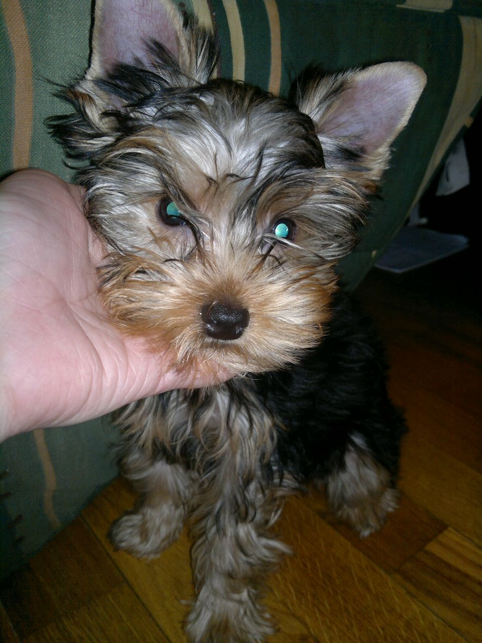 Александра Барановская | Warszawa