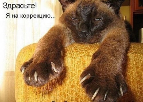 №14, Оля Таран №14, Оля Таран