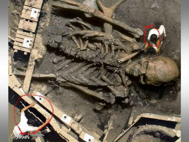 Максим Семенов Вячеславович | Санкт-Петербург