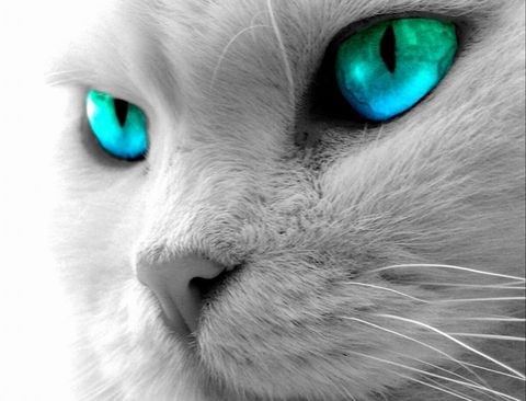 Татьяна Гыжко | 