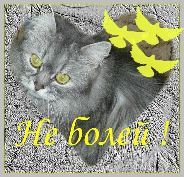 №17, Дмитрий Залогин, Москва №17, Дмитрий Залогин, Москва