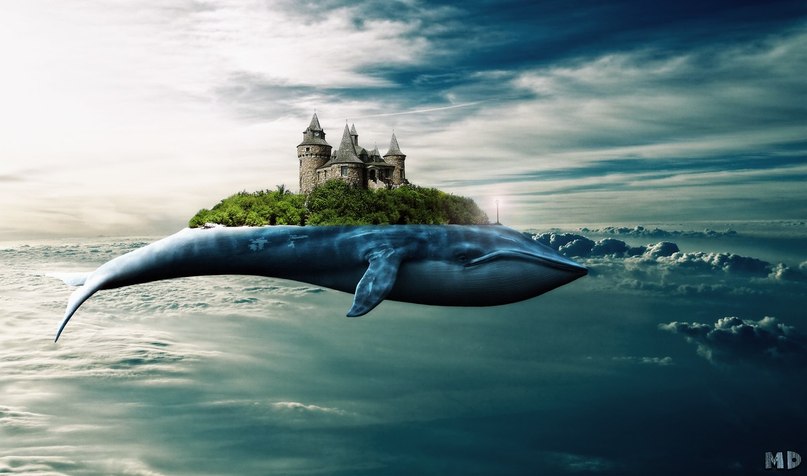 Денис Махов | Череповец