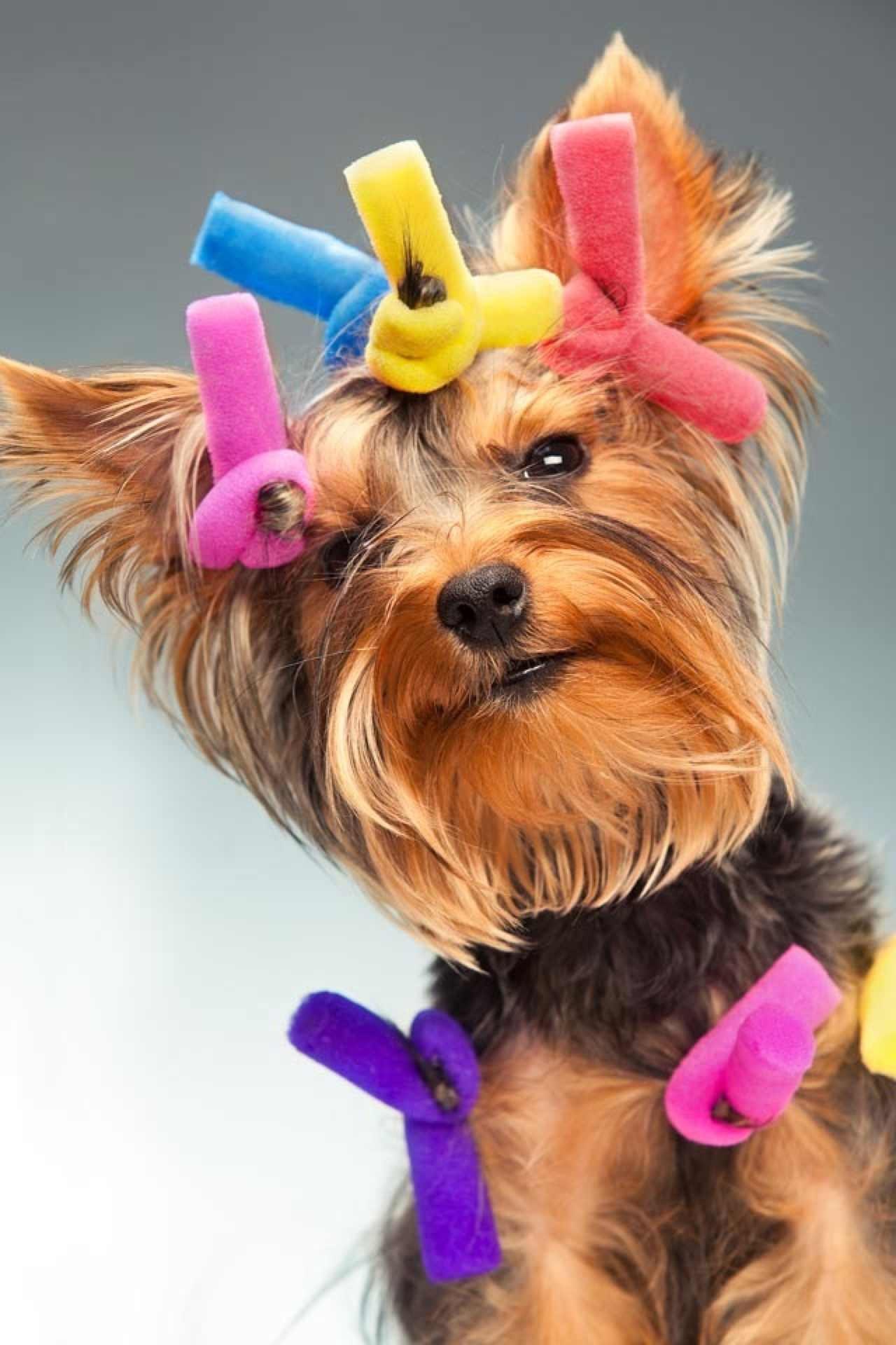 Анечка Широнина | Москва